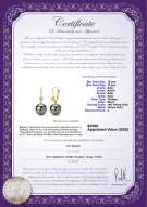 Product certificate: TAH-B-AAA-1011-E-Illuminate