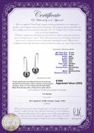 product certificate: TAH-B-AAA-1011-E-Janet