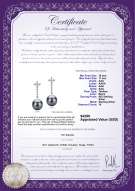 Product certificate: TAH-B-AAA-1011-E-Raquel