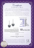 product certificate: TAH-B-AAA-1011-E-Verna