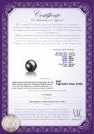 product certificate: TAH-B-AAA-1011-L1