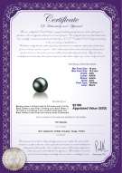 Product certificate: TAH-B-AAA-1011-L1