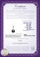 Product certificate: TAH-B-AAA-1011-P-Aoife