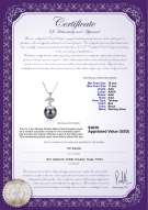 Product certificate: TAH-B-AAA-1011-P-Maude