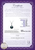 Product certificate: TAH-B-AAA-1011-P-Ross