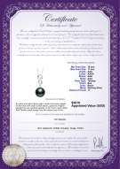 Product certificate: TAH-B-AAA-1011-P-Virginia