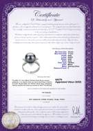 Product certificate: TAH-B-AAA-1011-R-Billy