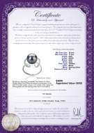 Product certificate: TAH-B-AAA-1011-R-Sheila