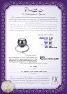 product certificate: TAH-B-AAA-1011-R-Tindra