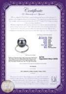 Product certificate: TAH-B-AAA-1011-R-Tindra