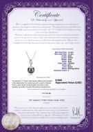 product certificate: TAH-B-AAA-1112-P-Frida