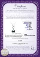 Product certificate: TAH-B-AAA-1112-P-Teardrop