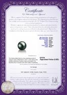 product certificate: TAH-B-AAA-1213-L1