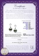 Product certificate: TAH-B-AAA-910-E-Assina