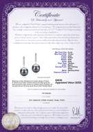 Product certificate: TAH-B-AAA-910-E-Janet