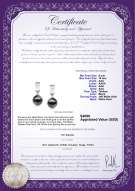 Product certificate: TAH-B-AAA-910-E-Kiyam