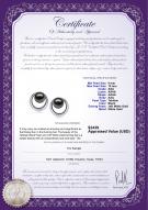product certificate: TAH-B-AAA-910-E-RisingSun