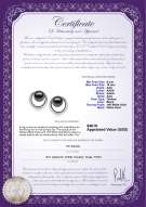 Product certificate: TAH-B-AAA-910-E-RisingSun