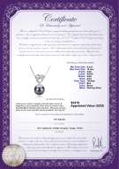 Product certificate: TAH-B-AAA-910-P-Adelina