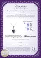 Product certificate: TAH-B-AAA-910-P-Ailani