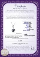 product certificate: TAH-B-AAA-910-P-Edna