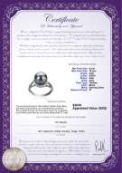 Product certificate: TAH-B-AAA-910-R-Royisal