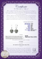 product certificate: TLA1BL10A-W