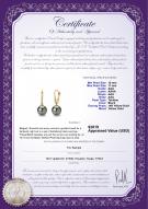 product certificate: TLC1PC10A-Y