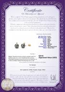 product certificate: TSA1PC09A-Y