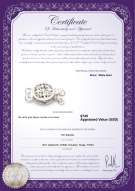 Product certificate: W-14K-Clasp-DBL-Sussex