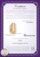 Product certificate: W-14K-TRP-Clasp-Dartmoor