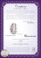 product certificate: W-14K-TRP-Clasp