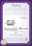 product certificate: W-18K-Oxford-Clasp