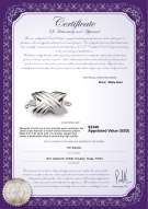 Product certificate: W-18K-Oxford-Clasp