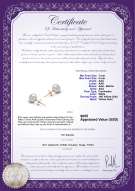 Product certificate: W-78-E