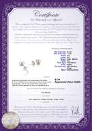 Product certificate: W-AA-67-E