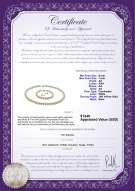 Product certificate: W-AA-67-S