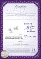 Product certificate: W-AA-78-E-SS