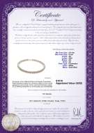 Product certificate: W-AA-89-N