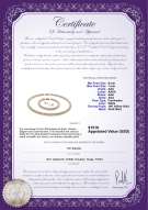 Product certificate: W-AAA-67-S