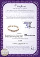 Product certificate: W-AAA-859-B-Akoy