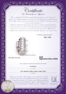 Product certificate: W-Alloy-TRP-Clasp-Leeds