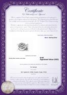 product certificate: W-Brass-DBL-Clasp-Lisbon