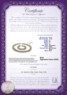 Product certificate: W-F-67-Weave