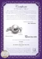 Product certificate: W-SS-Ball-Clasp