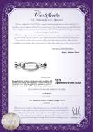 Product certificate: W-SS-Ebba-Clasp