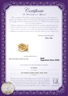 Product certificate: Y-Alloy-DBL-Round-Clasp-Nala