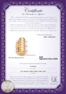 Product certificate: Y-Alloy-TRP-Clasp-Ohio