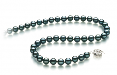 6.5-7mm AA Quality Japanese Akoya Cultured Pearl Necklace in Black