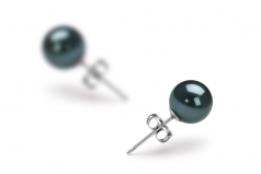 6-7mm AAA Quality Japanese Akoya Cultured Pearl Earring Pair in Black